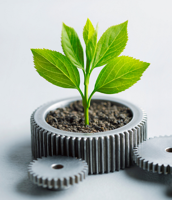 Eco-Friendly Innovation